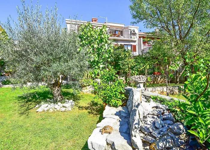 Damir-3 By Interhome Appartamento *